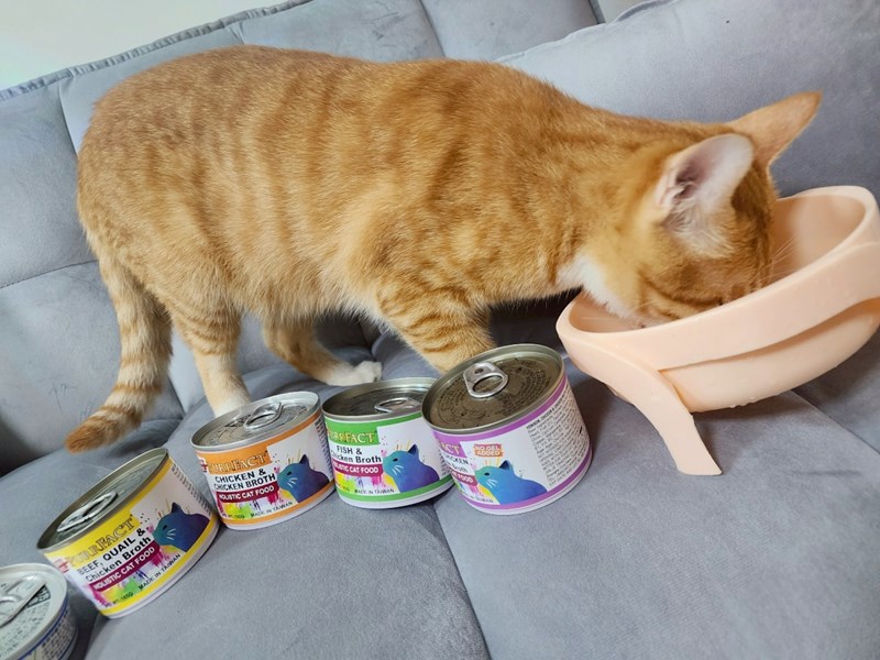 女人知己試用大隊,口碑行銷,部落客行銷,PURRFACT 波菲特貓用主食罐,主食罐,PURRFACT波菲特,貓主食罐,貓罐,PURRFACT波菲特貓用主食罐,魚肉蔓越莓主食罐,鮮嫩雞主食罐,鹿肉雞肉主食罐,牛肉鵪鶉貓主食罐,干貝蠶蛹配方,鱷魚肉白木耳配方,雞肉魚肉配方,安心鶉配方,評價,體驗,適口性佳,心得,成貓適用,高齡貓適用,質地是慕絲狀